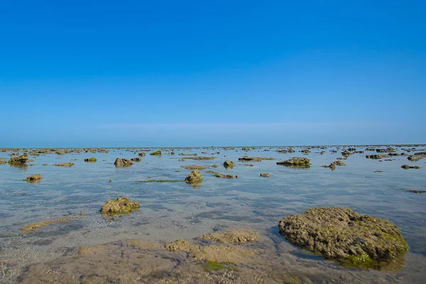 Marine National Park